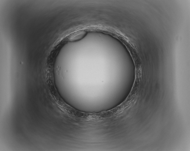 X0000113571496200909181236