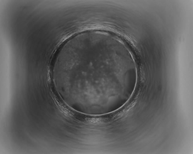 X0000113571497200909181236
