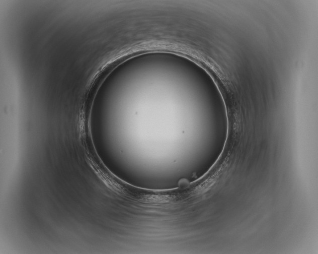 X0000113571499200909181236