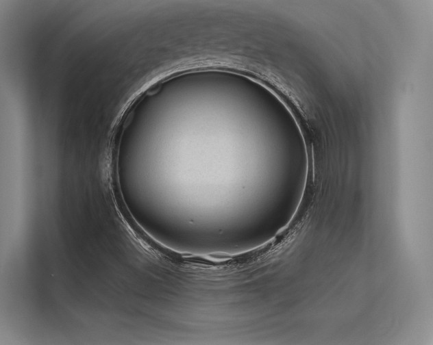 X0000113571500200909181236