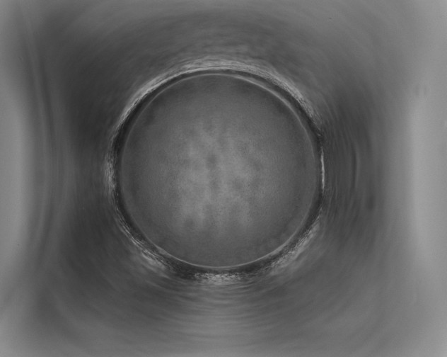 X0000113571501200909181237