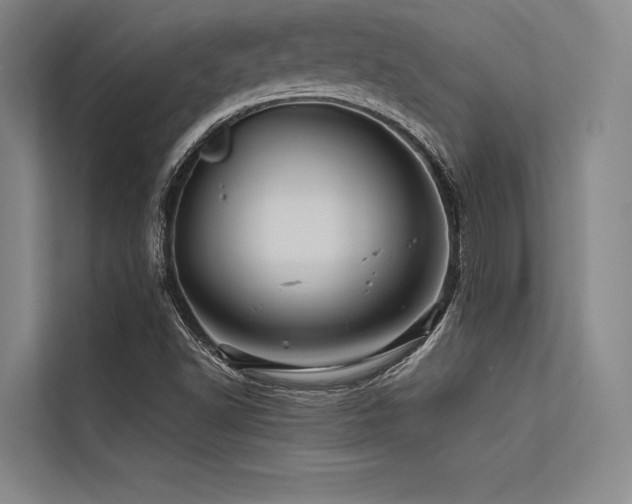 X0000113571502200909181237