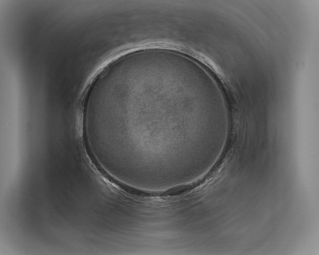 X0000113571504200909181237