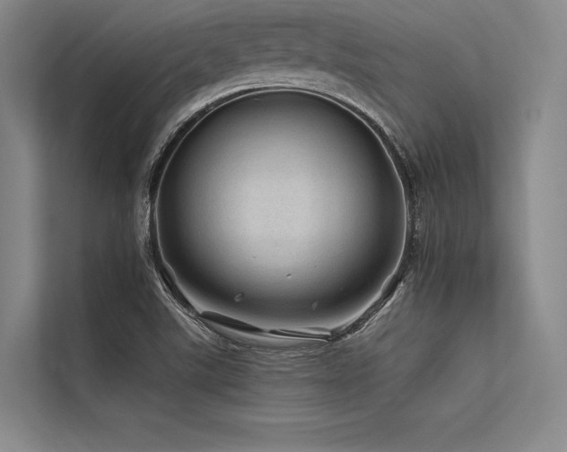 X0000113571507200909181237