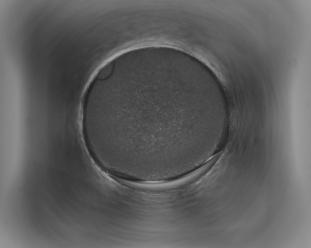 X0000113571508200909181237