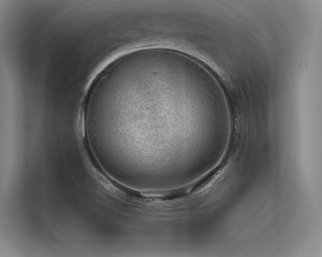 X0000113571510200909181237