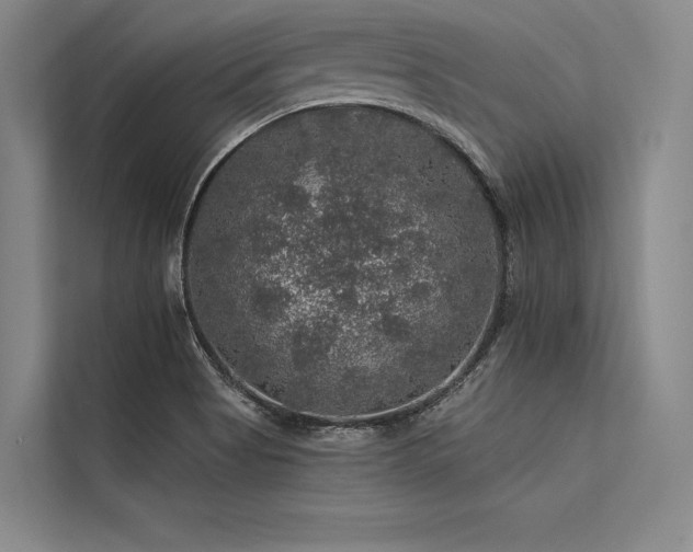 X0000113571513200909181237