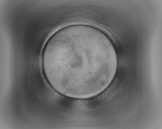 X0000113571514200909181237