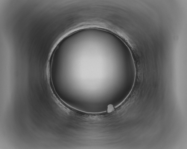 X0000113571516200909181237