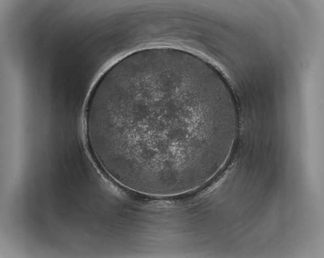 X0000113571517200909181237