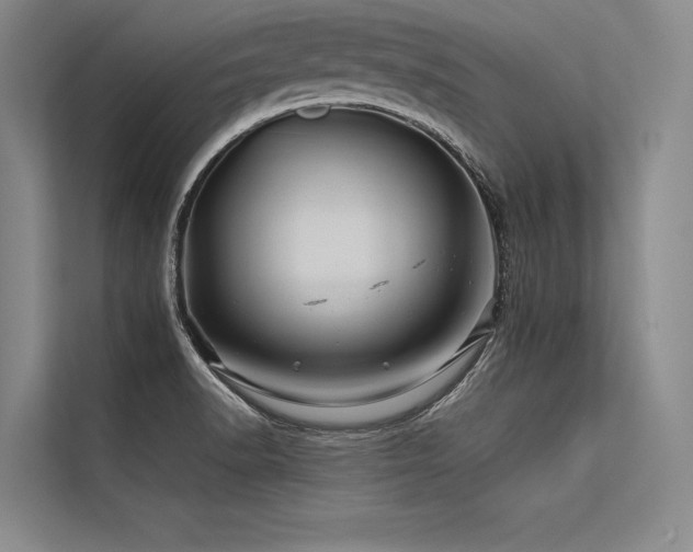 X0000113571518200909181237