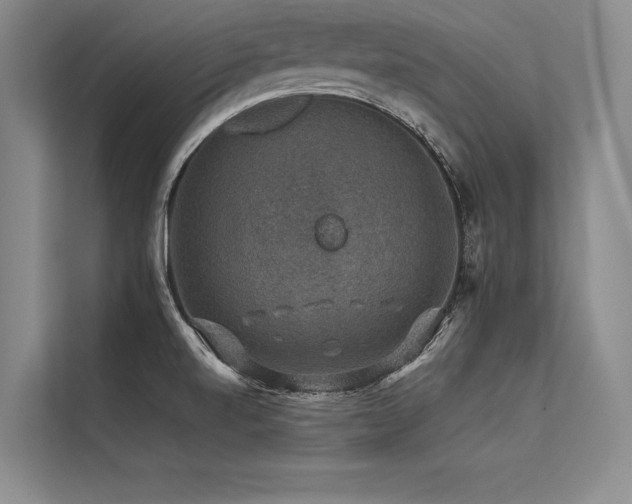 X0000113571520200909181237
