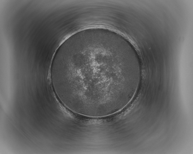 X0000113571521200909181237