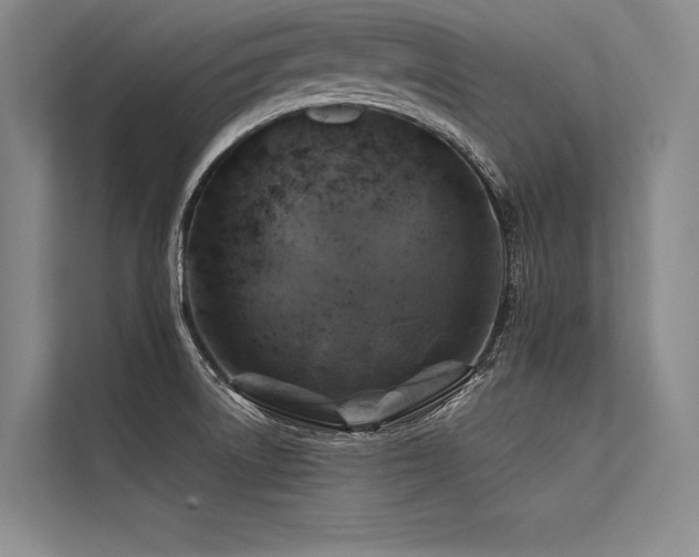 X0000113571522200909181237