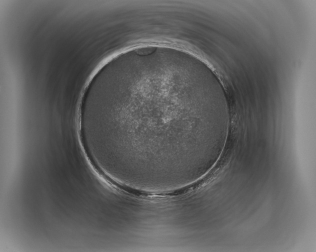 X0000113571523200909181237