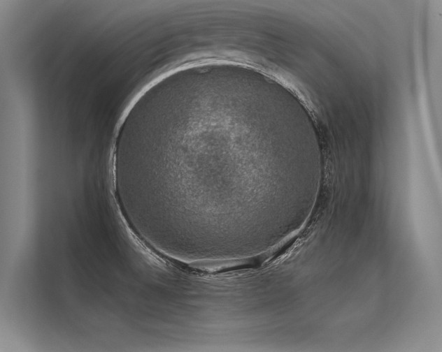 X0000113571524200909181237