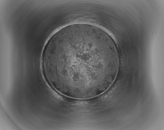X0000113571525200909181237