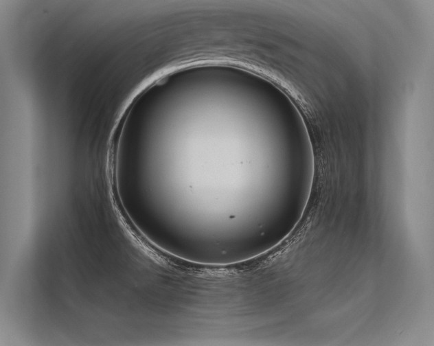 X0000113571526200909181237