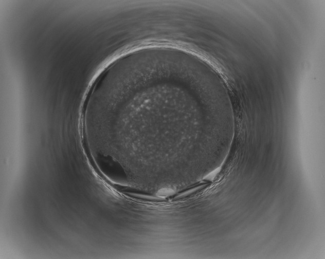 X0000113571527200909181237