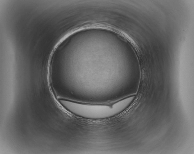 X0000113571528200909181237