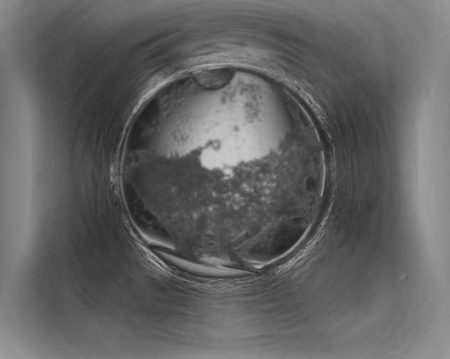 X0000113571529200909181237