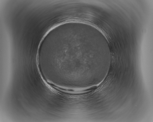 X0000113571531200909181237