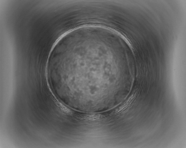 X0000113571533200909181237