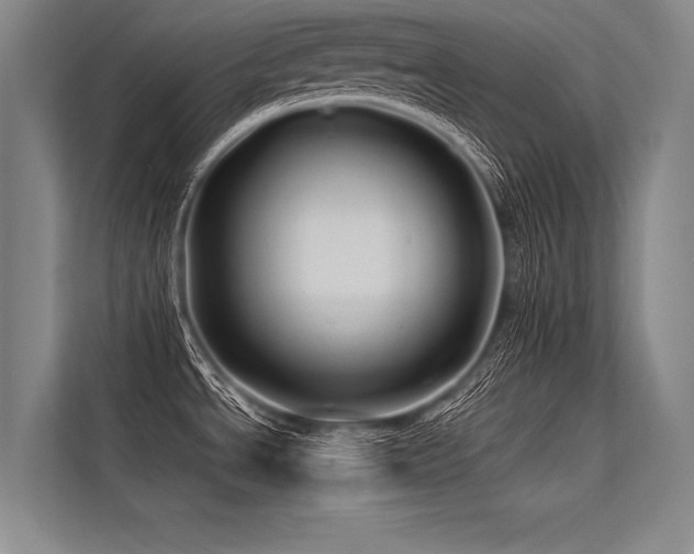 X0000113571534200909181237