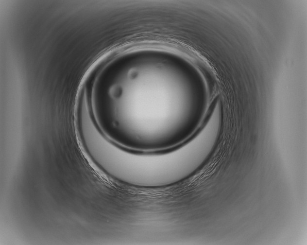 X0000113571536200909181237