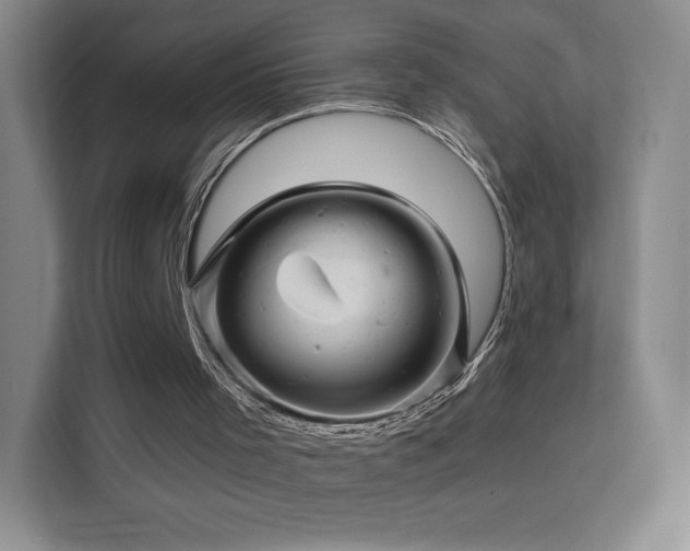 X0000113570001200909251144