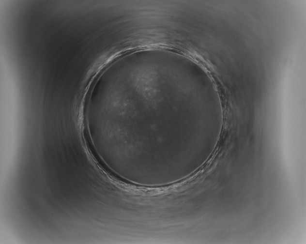 X0000113570002200909251144