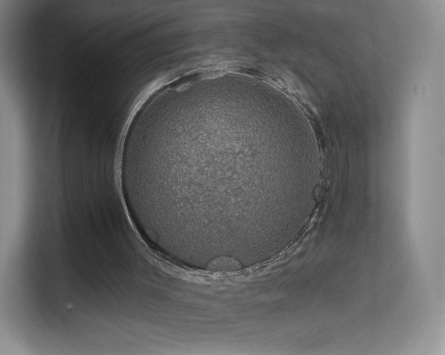 X0000113570003200909251144