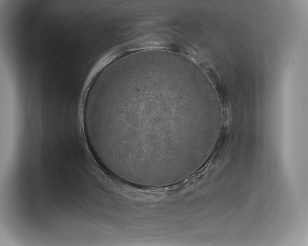 X0000113570004200909251144