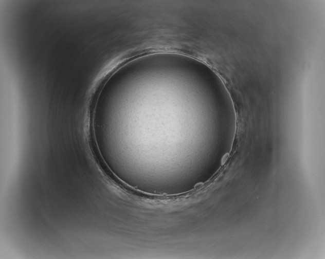X0000113570005200909251144