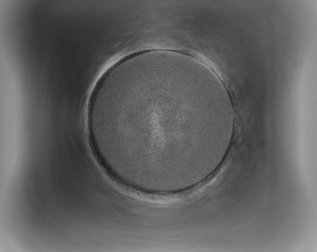 X0000113570008200909251144
