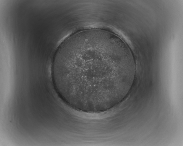 X0000113570010200909251144