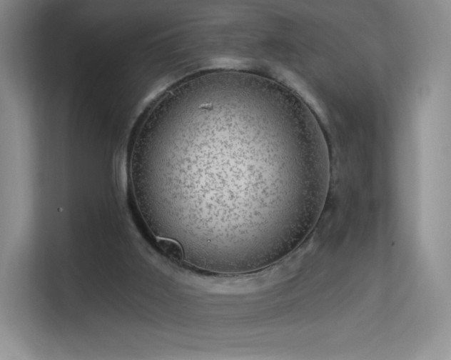 X0000113570011200909251144
