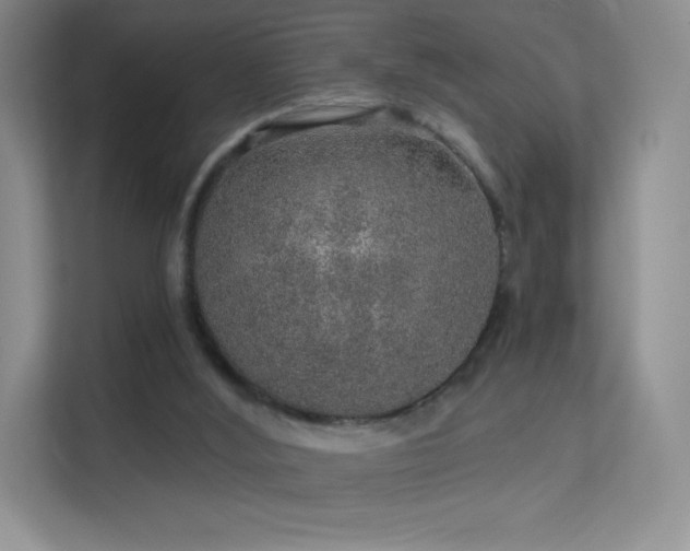 X0000113570012200909251144