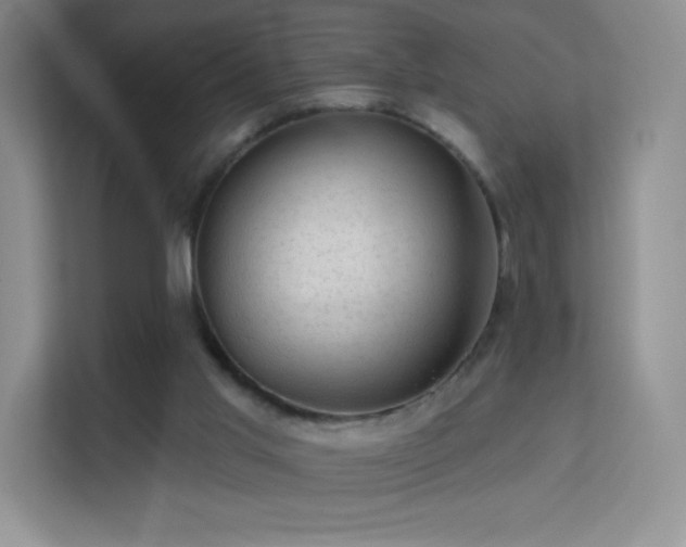 X0000113570013200909251144