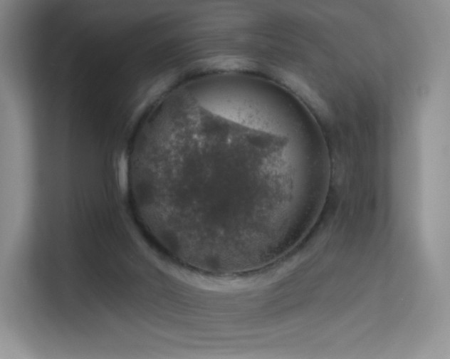 X0000113570014200909251144