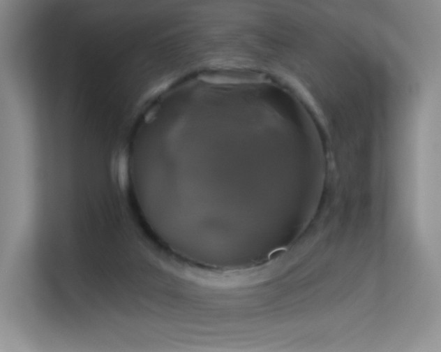 X0000113570019200909251144