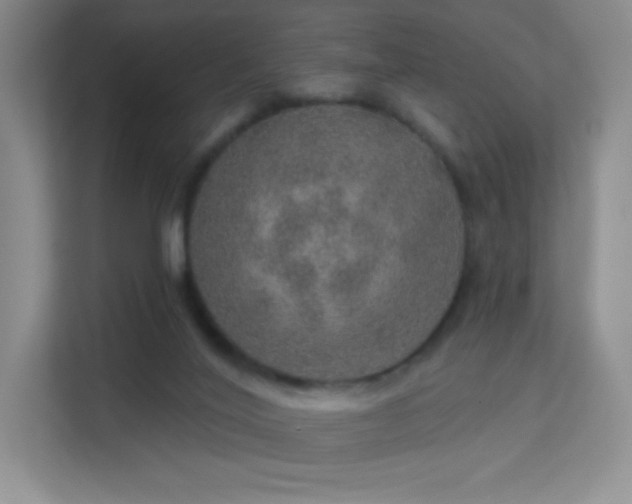 X0000113570020200909251144