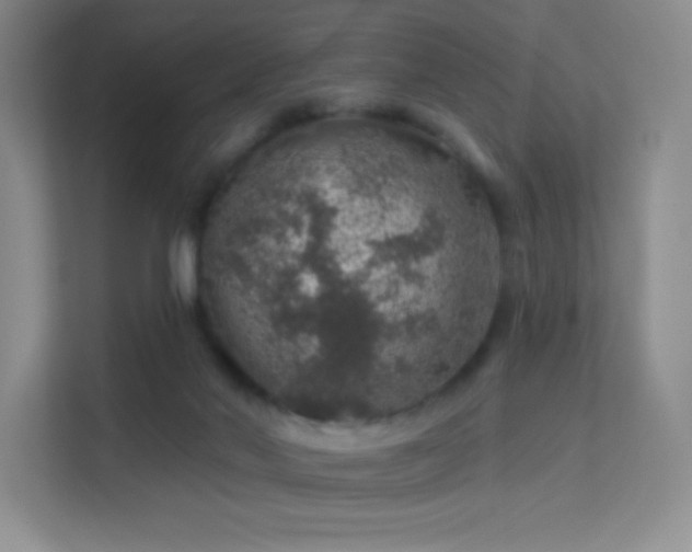 X0000113570022200909251144
