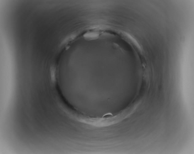 X0000113570023200909251144