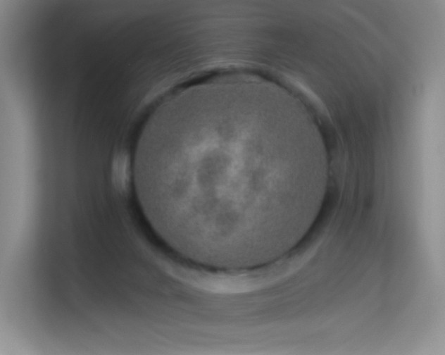 X0000113570024200909251144