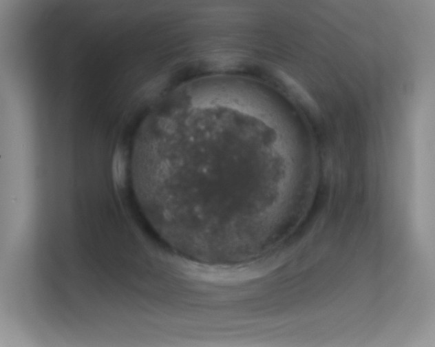 X0000113570026200909251144