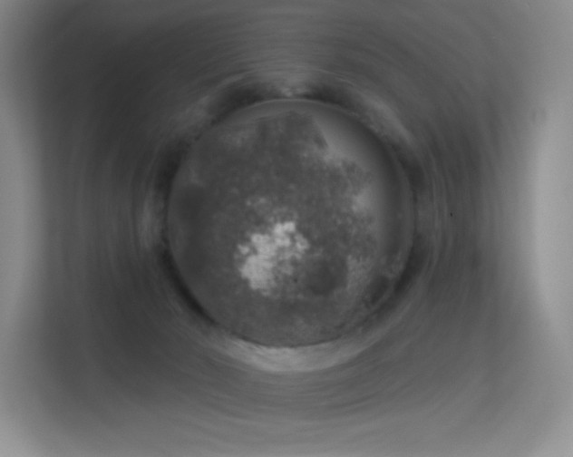 X0000113570030200909251143