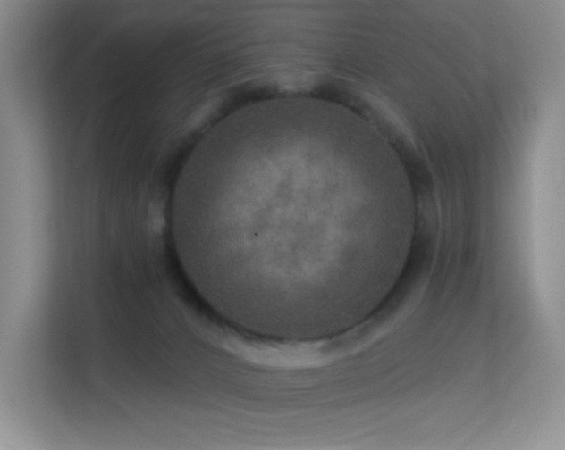 X0000113570032200909251143