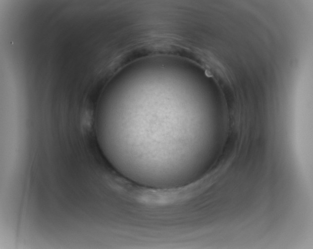 X0000113570033200909251143