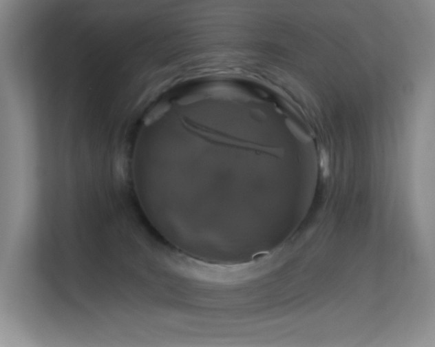 X0000113570035200909251143